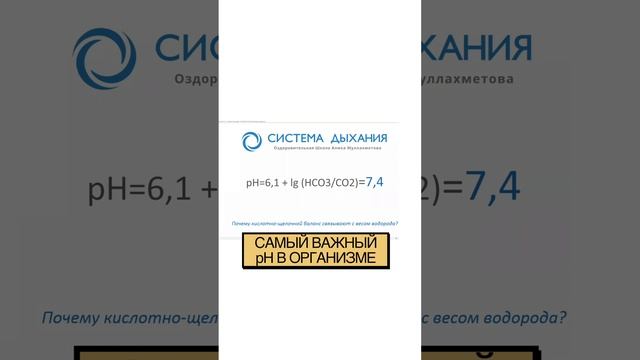 Самый важный pH в организме