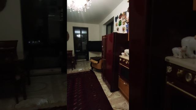 видео гостевая+кухня