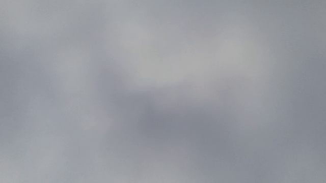 20241113_122908.mp4