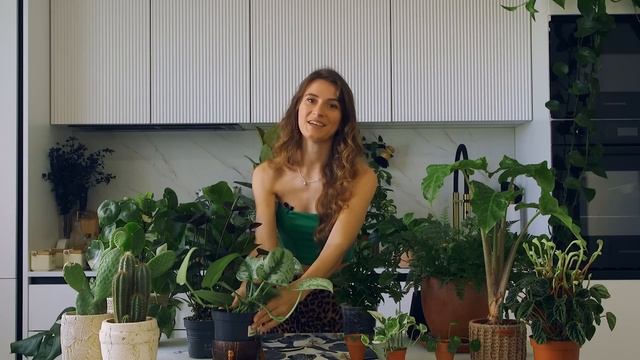Дневник Растениевода No1 ☘️🪴 | Как озеленить интерьер, новости о Greens и грандиозный переезд!