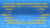 Видеопрезентация «По морям, по волнам»