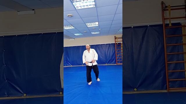 Sinten-ryu / aikido страховка спиной
