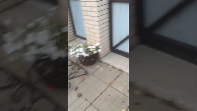 Цветочница