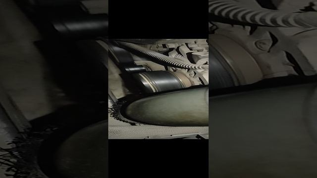 1000053964.mp4