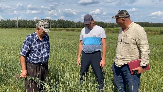 26.07. Макогон А.В. Технология, севооборот, удорения.
