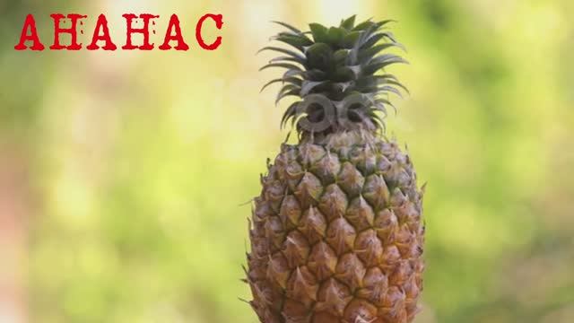 Слова-названия: фрукты 2в