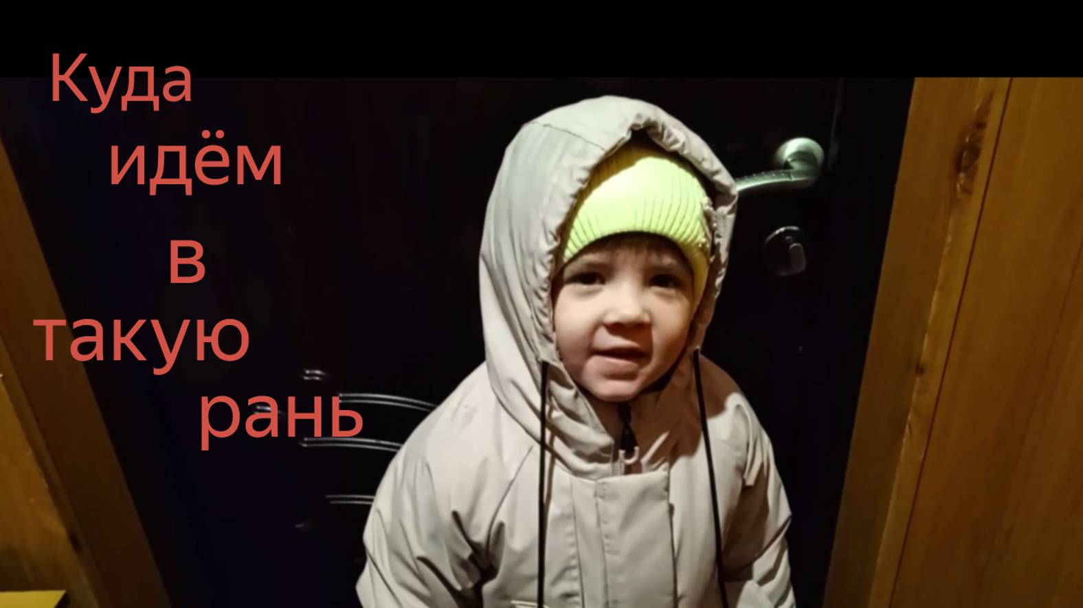 Чём свет и мы уж на ногах...Макеевка ДНР Россия , городские голуби...