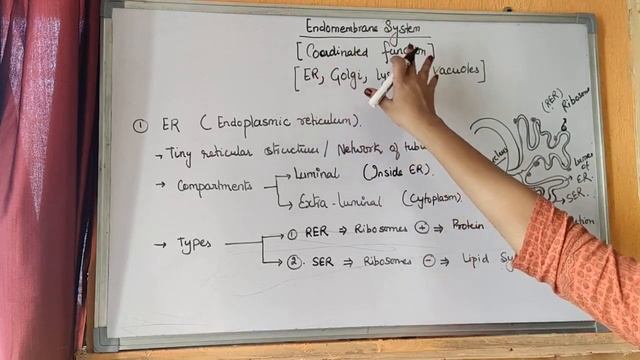 Cell:The unit of life (transport via plasma membrane & Endomembrane system) P-3