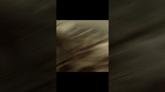 IMG_2124