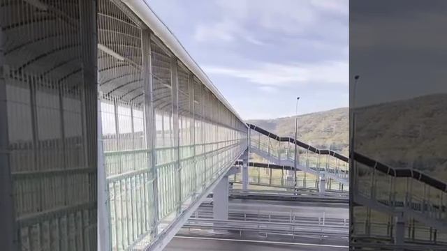 Восточноевропейская овчарка. Выдержка