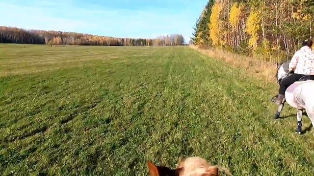 Выезд в поле на Малышке и Silver Night. GoPro Hero 9