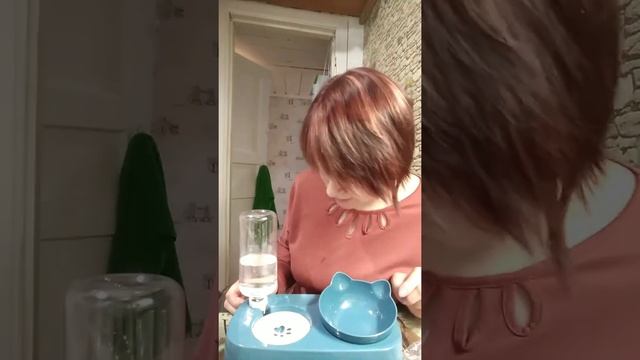 Распаковка с АлиЭкспресс " кормушка для кошек"