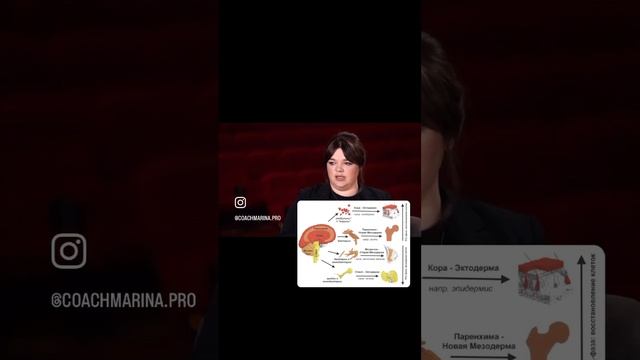 4 типа ткани