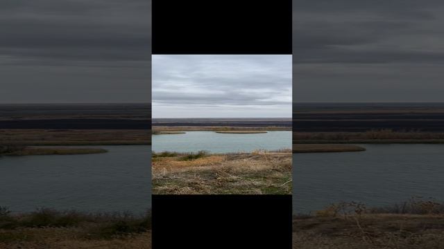 Ведерники