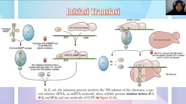Review Genetika Pertemuan 6 (Translasi dan Kode Genetik)