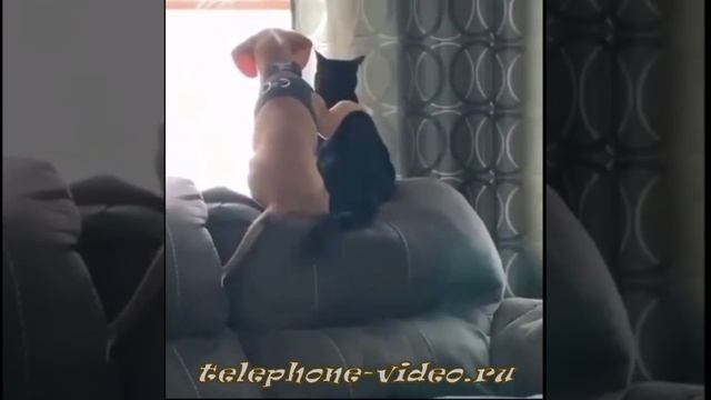 Дружба
