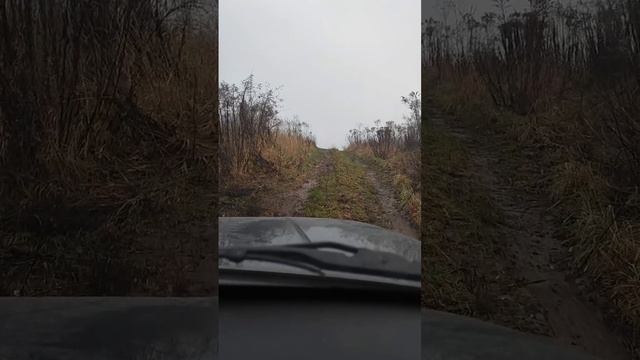 1000495926.mp4