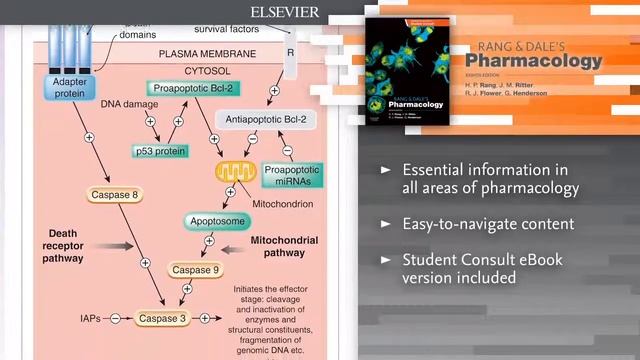 Rang & Dale's Pharmacology, 8e