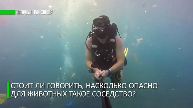 ПОМНИ ОБ ЭТОМ ВЫБРАСЫВАЯ МУСОР