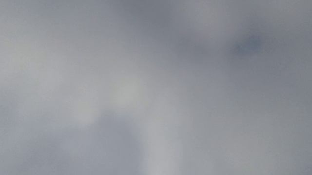 20241113_123922.mp4
