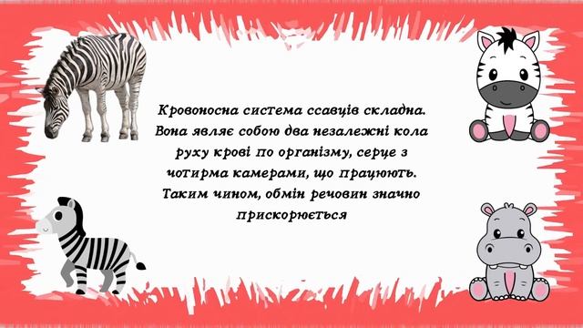 "Хто такі ссавці?"
