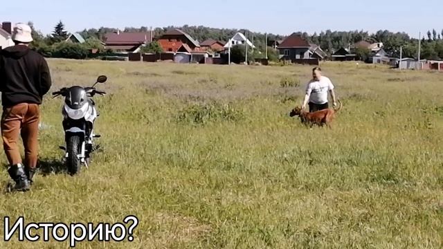 Капец я не понила с начала даже свой ролик!