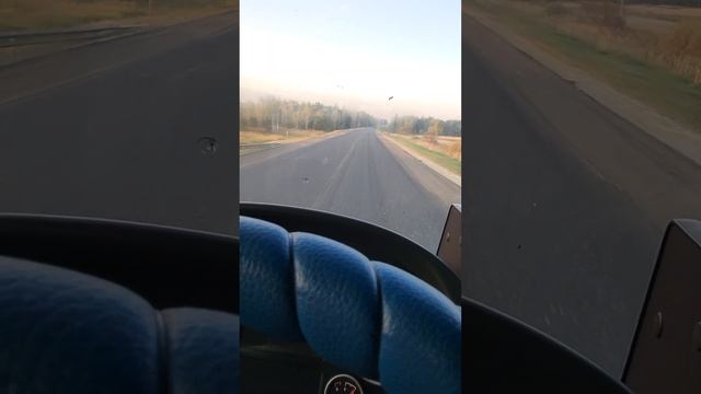 Утренняя заря