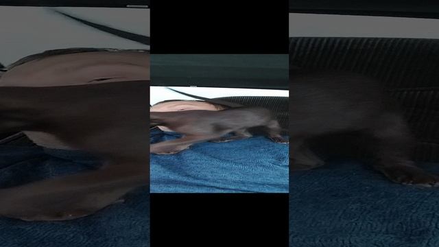 20231201_103757.mp4
