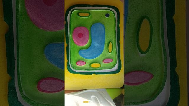 How to make a 2D Plant Cell on Thermocol by A2Z PROJECT AND MODEL Palwal part 2