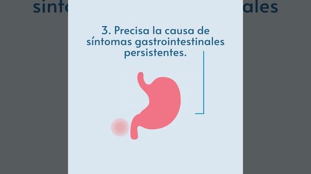 Endoscopia Gastrointestinal www.endo-quirurgi-k.com