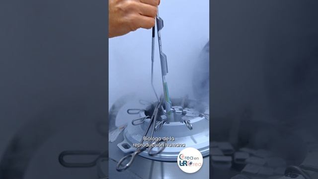 Tratamientos para la infertilidad