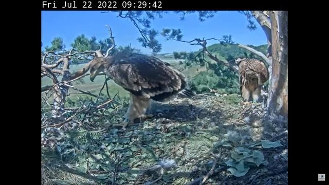 Гнездо Солнечного Орла - Татарстане, Россия 22.07.2022 09:05