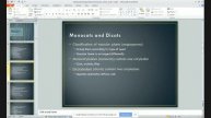 Primary Stem Anatomy Part 1