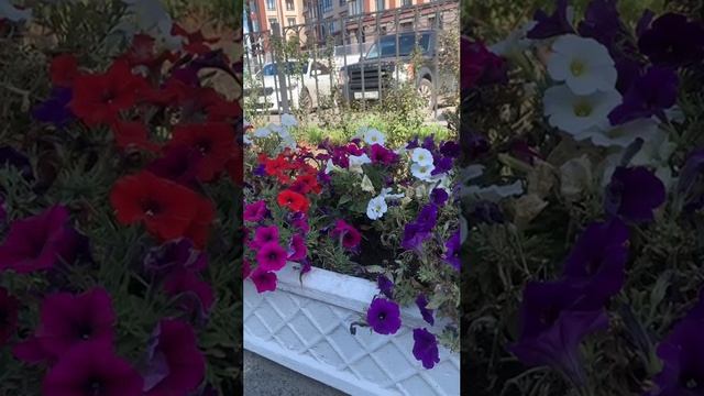 Наш 👶
Фокус малыша 🤣🤣🤣