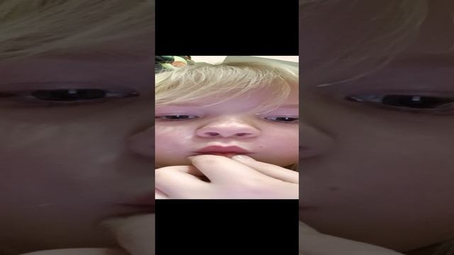 драка кошки с братом