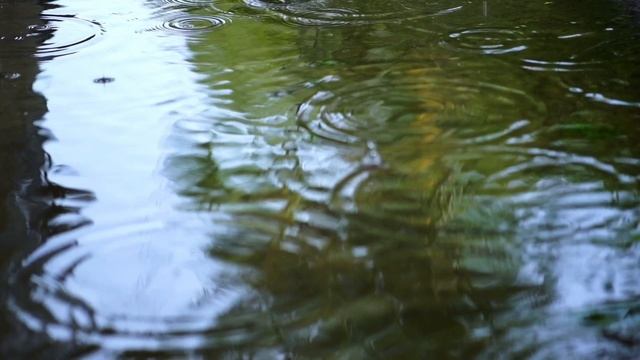 Капли дождя падают на воду.