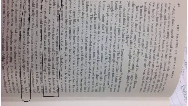 Picture of Dorian Gray Chapter 4 Comment