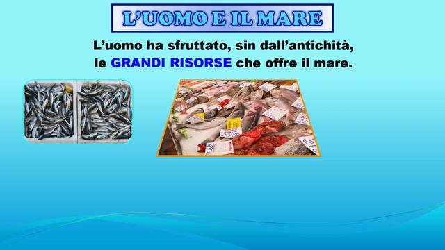 IL MARE: CLIMA, FLORA, FAUNA, ATTIVITÀ DELL'UOMO