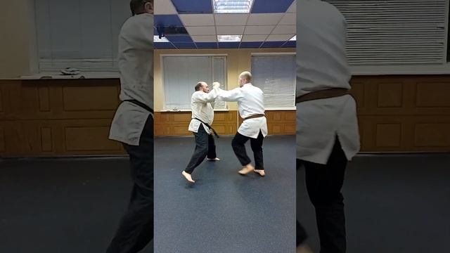 Sinten-ryu aiki-ju-jutsu / aikido - irimi