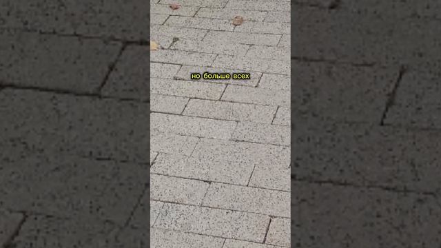 Анекдот про банк и деньги