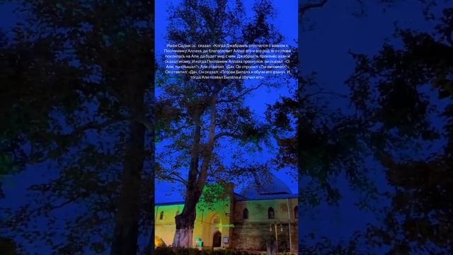 VID-20241113-WA0004.mp4