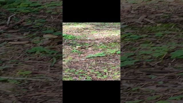 1000047760.mp4