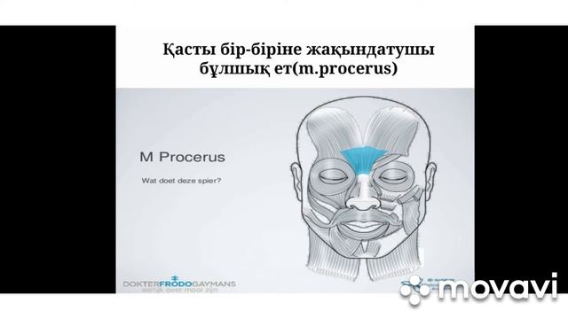 Бас бұлшықеттері.
