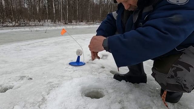 Щука на жерлицы.