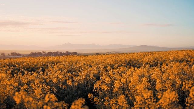 (30) О прославленных мудрецах. Так говорил Заратустра. Часть вторая.