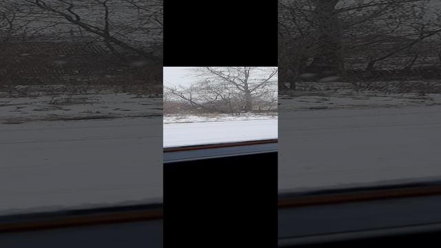Метель