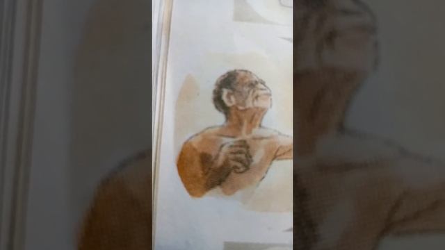 some information of primitive man 🙏
