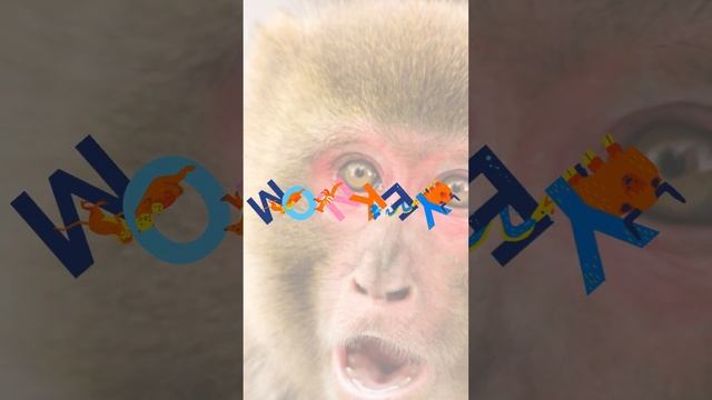 Wild Animals for Kids | Monkey