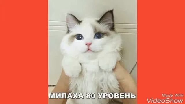 Тест на психику #2