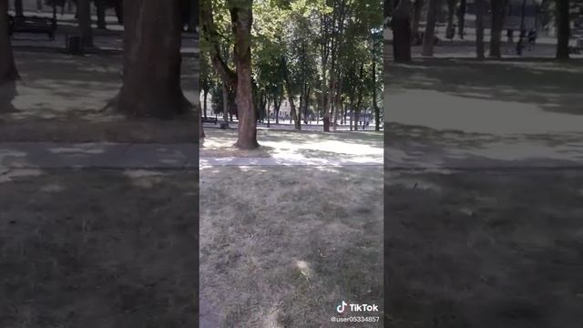 1000008795.mp4